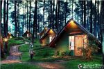 camping-grafika-cikole