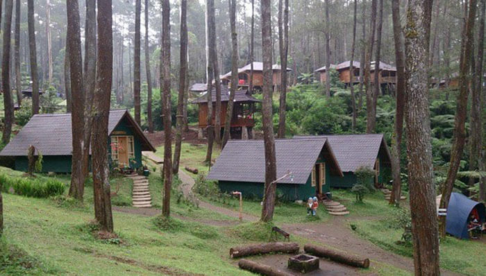 Hutan Cikole Lembang