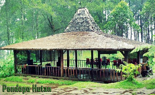 pendopo-hutan-grafika-cikole-lembang