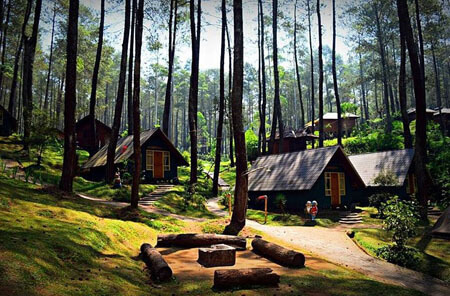Grafika-Cikole-Lembang