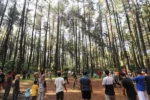 Ice Breaking pada Outbound: Kunci Sukses Awal Kegiatan dan Jenis-Jenis Permainannya