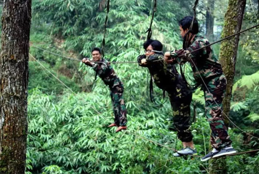 Zone 235-Lembang Jungle Discovery