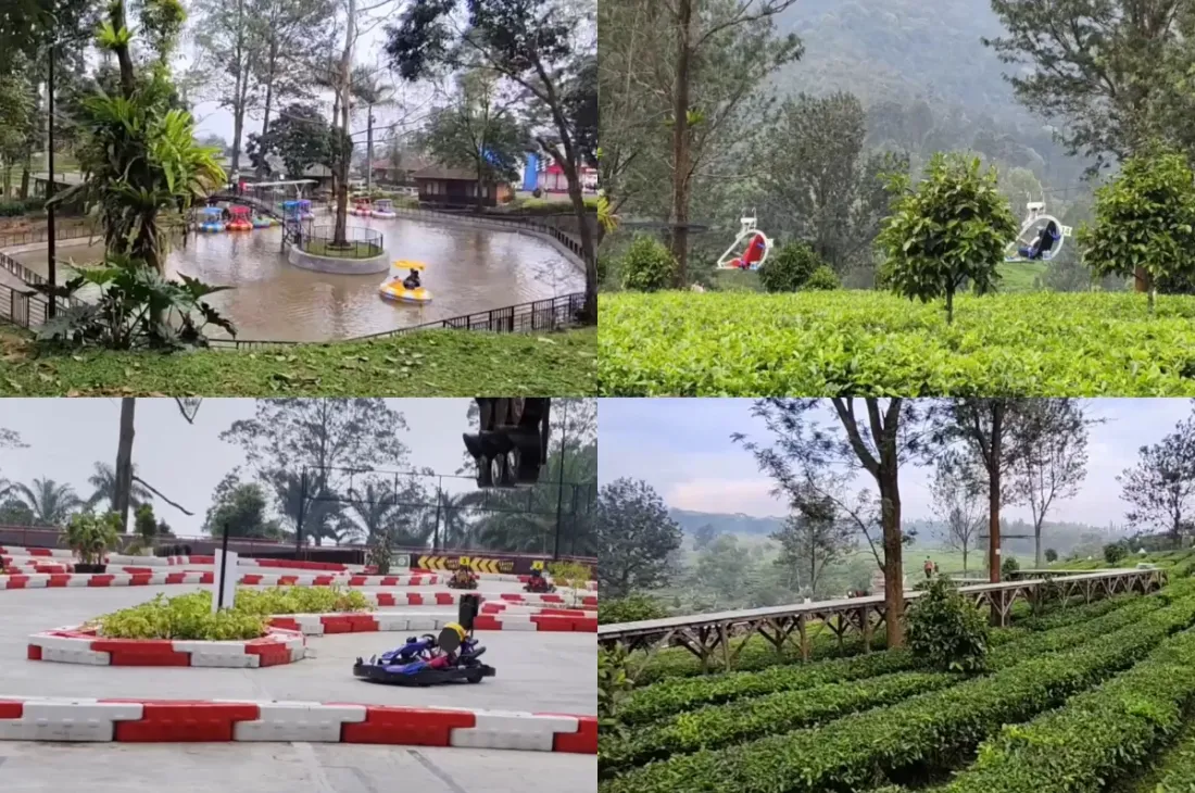 agrowisata gunung mas puncak